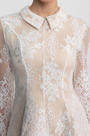 Vestido em Renda Trabalhada com Modelagem Estruturada e Gola Tradicional